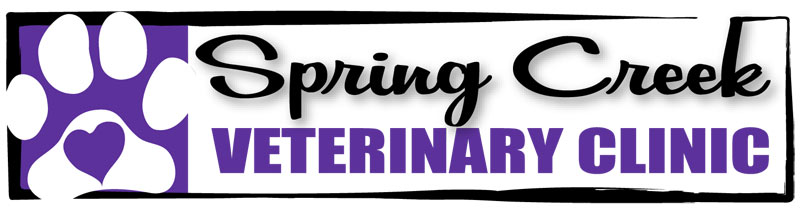 Thayer County Veterinarian Clinic Spring Creek Vet Clinic